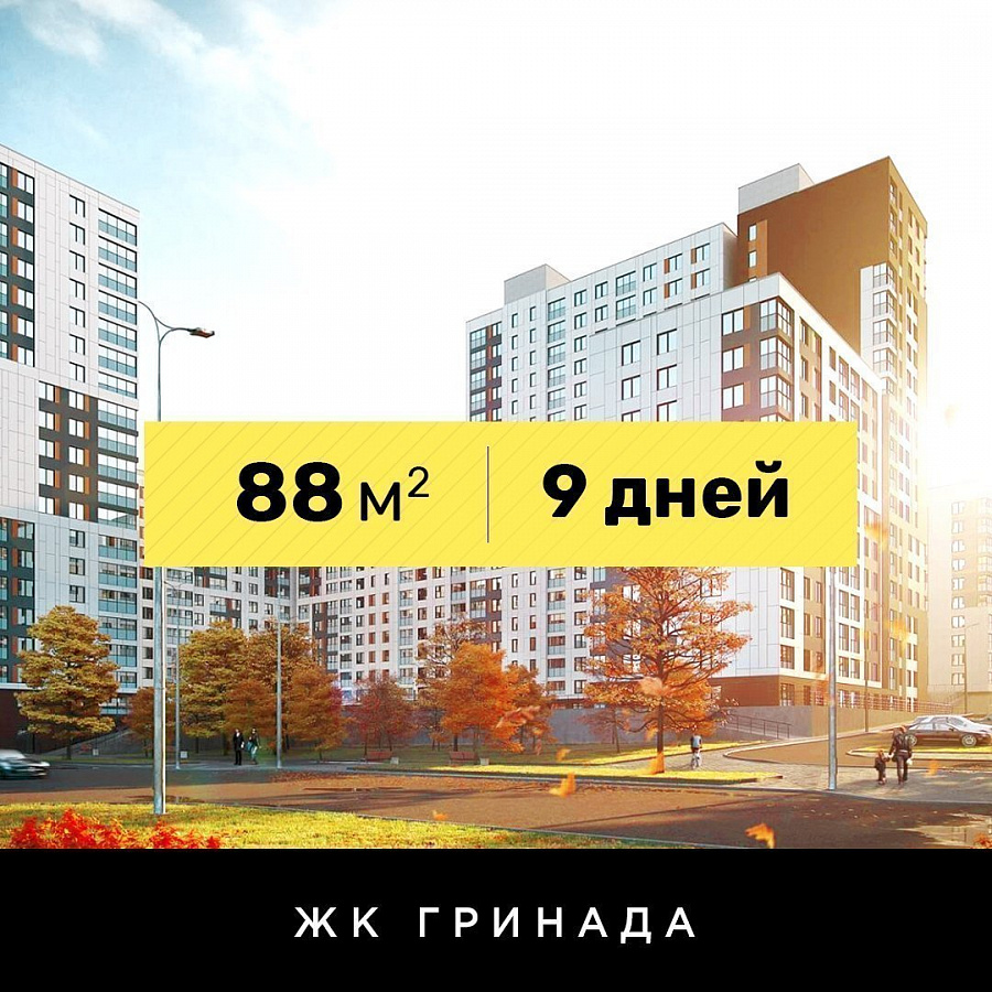 Каркасная шумоизоляции потолков и бескаркасная стен